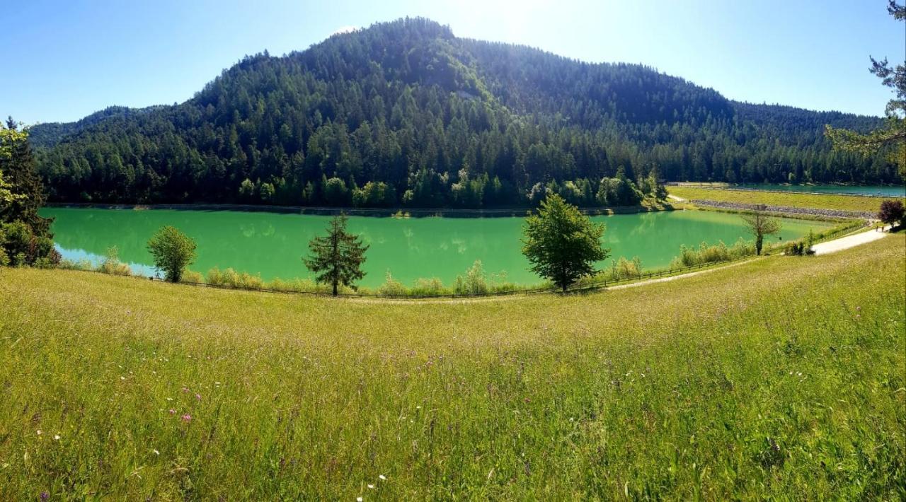 Affittacamere Dolce Sogno Коредо Экстерьер фото